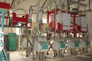 【面粉機組、面粉機成套設備專業的生產廠家】