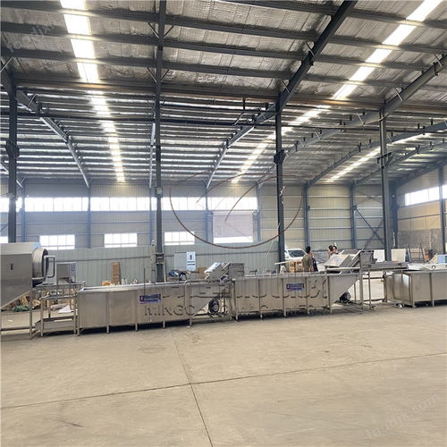 明超扇貝肉清洗漂燙流水線(xiàn) 水產(chǎn)加工設(shè)備