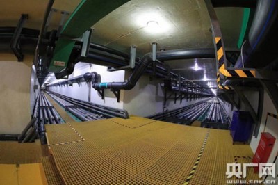 全國農(nóng)廣采訪團(tuán)走進(jìn)天津靜海:綠色轉(zhuǎn)型帶來新動能